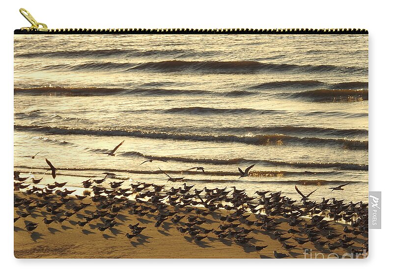 Coastal Birds Carry-all Pouch featuring the digital art Momentous by Jan Gelders