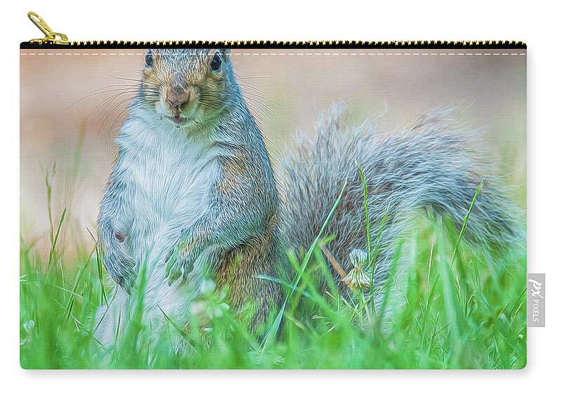 Mammal Carry-all Pouch featuring the photograph Momma Squirrel by Cathy Kovarik
