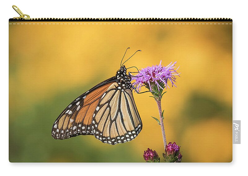 Monarch Butterfly Carry-all Pouch featuring the photograph Monarch 2016-3 by Thomas Young