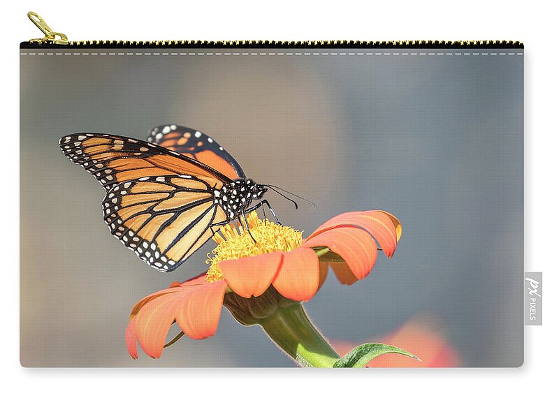 Monarch Butterfly Carry-all Pouch featuring the photograph Monarch 2017-10 by Thomas Young