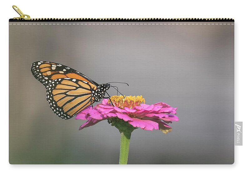 Monarch Butterfly Zip Pouch featuring the photograph Monarch 2017-11 by Thomas Young