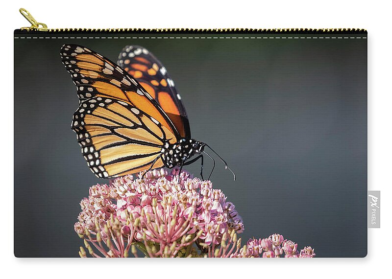 Monarch Butterfly Zip Pouch featuring the photograph Monarch 2018-6 by Thomas Young