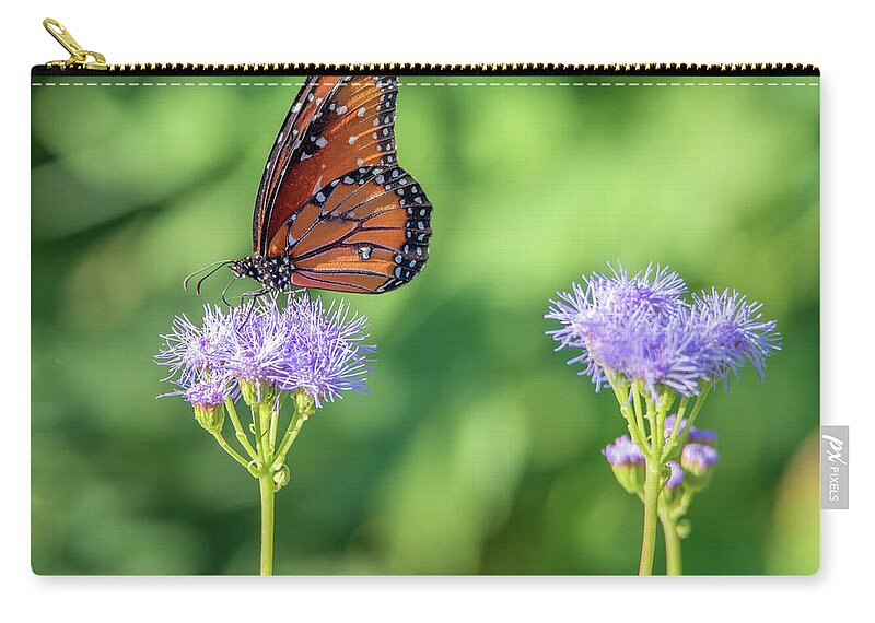 Monarch Zip Pouch featuring the photograph Monarch Butterfly 7476-101017-2cr by Tam Ryan