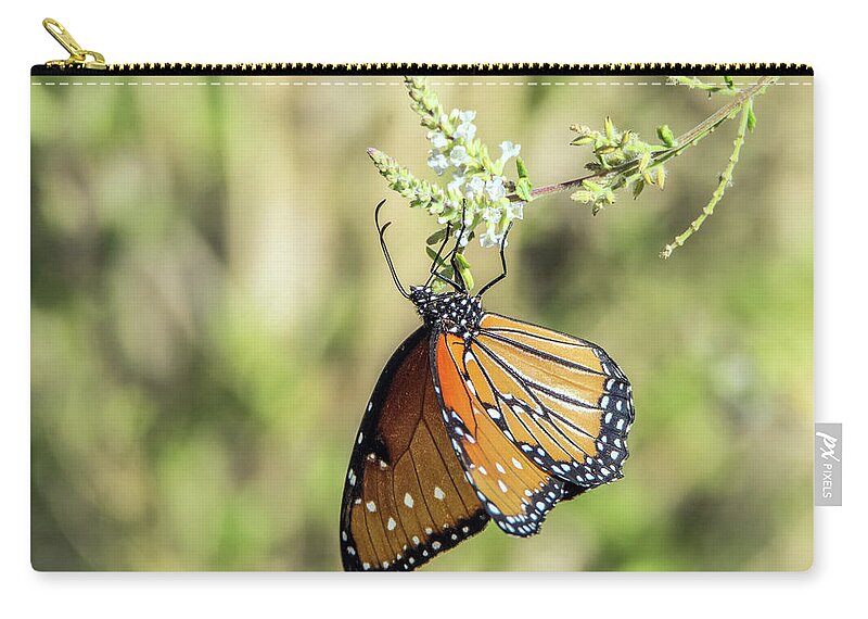 Monarch Zip Pouch featuring the photograph Monarch Butterfly 7504-101017-2cr by Tam Ryan