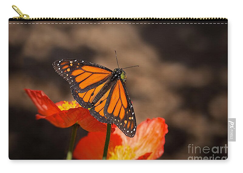 Butterfly Zip Pouch featuring the photograph Monarch Butterfly and Poppies by Ana V Ramirez