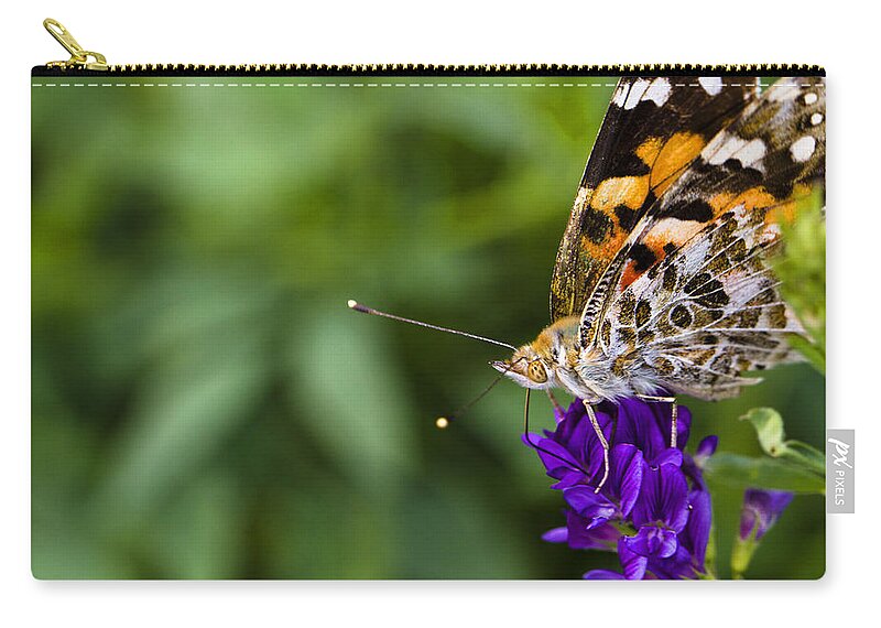 Monarch Butterfly Zip Pouch featuring the photograph Monarch Butterfly by Marlo Horne