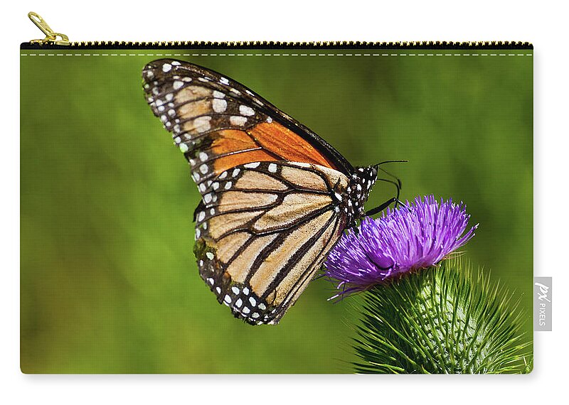 Animal Carry-all Pouch featuring the photograph Monarch Butterfly on a Thistle by Jeff Goulden