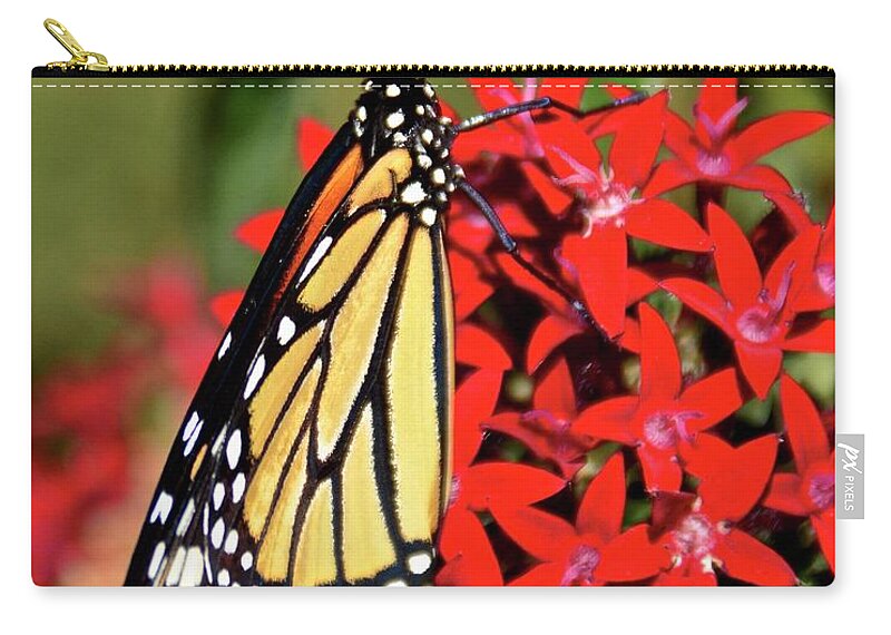 Butterfly Zip Pouch featuring the photograph Monarch Number Three by Carol Bradley