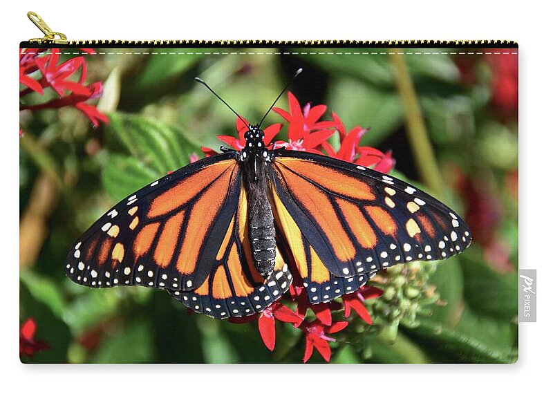 Butterfly Zip Pouch featuring the photograph Monarch on Red Pentas by Carol Bradley