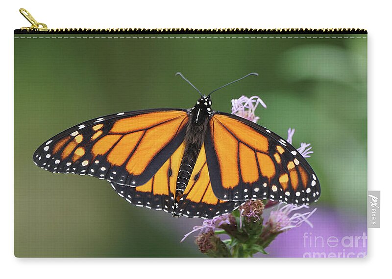 Monarch Butterfly Zip Pouch featuring the photograph Monarch on Spiked Blazing Star by Robert E Alter Reflections of Infinity