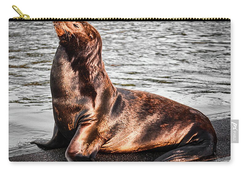 Sealion Zip Pouch featuring the photograph Monarch SeaLion by Jason Brooks