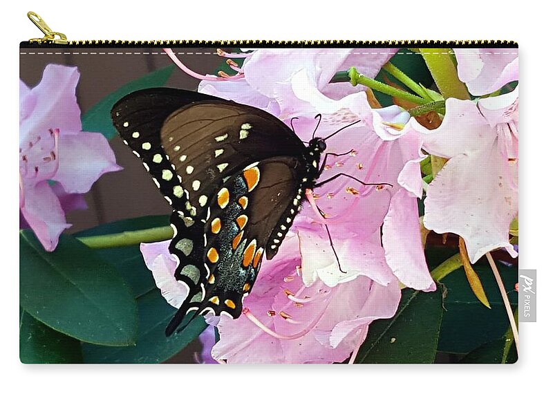 Butterfly Carry-all Pouch featuring the photograph Tuesday Two by Dani McEvoy