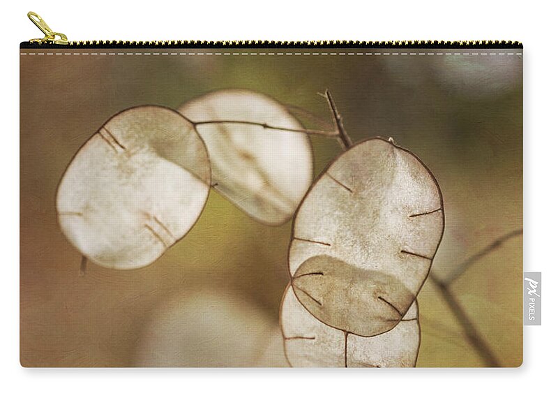 Money Plant Zip Pouch featuring the photograph Money Plant by Dale Kincaid