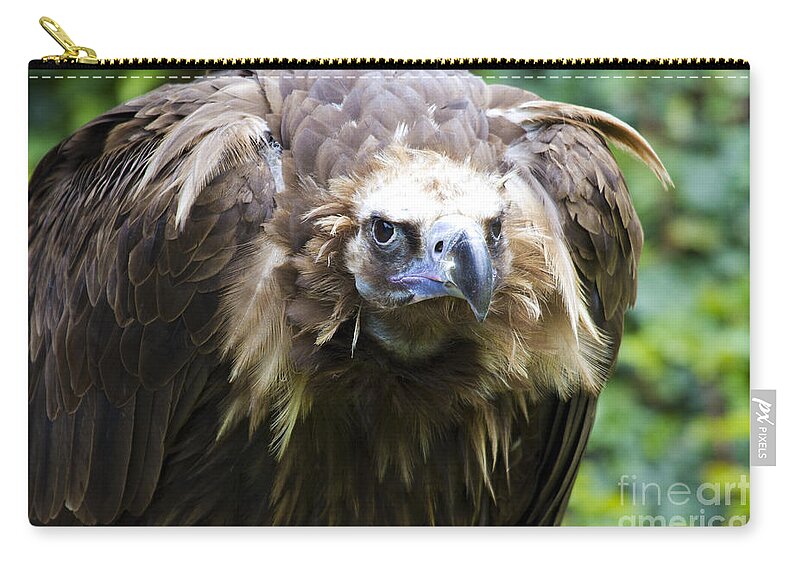 Black Vulture Zip Pouch featuring the photograph Monk Vulture 3 by Heiko Koehrer-Wagner
