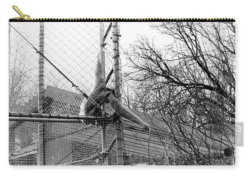 Monkey Zip Pouch featuring the photograph Monkey Grab by Joseph Caban