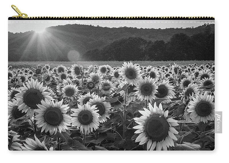 Donaldson Farms Zip Pouch featuring the photograph Monochrome Sunflowers by Kristopher Schoenleber