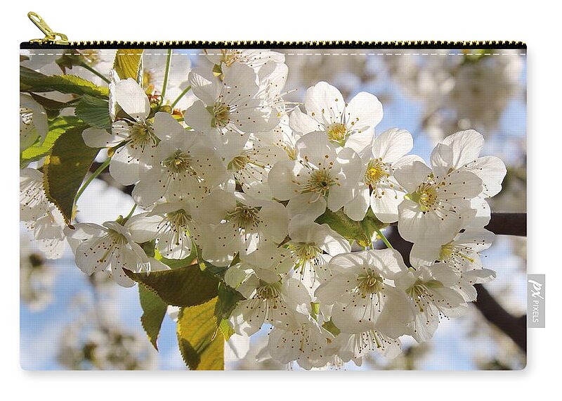 More Cherry Blossoms Zip Pouch featuring the photograph More cherry blossoms by Lynn Hopwood