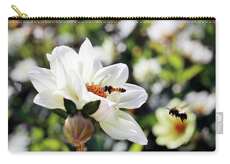 Nature Zip Pouch featuring the photograph Morning delight 2 by Helga Novelli