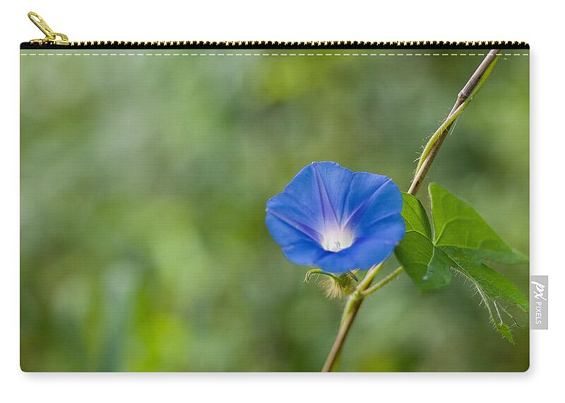 Da*55 1.4 Zip Pouch featuring the photograph Morning Glory by Lori Coleman