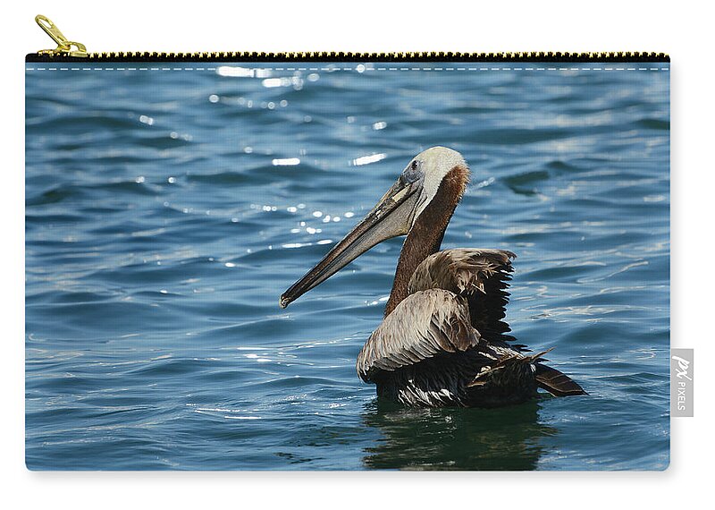 Brown Pelican Zip Pouch featuring the photograph Morning Glow by Fraida Gutovich