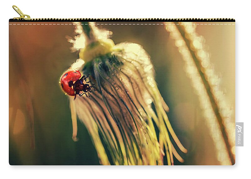 Ladybug Zip Pouch featuring the photograph Morning impresion with ladybug by Jaroslaw Blaminsky