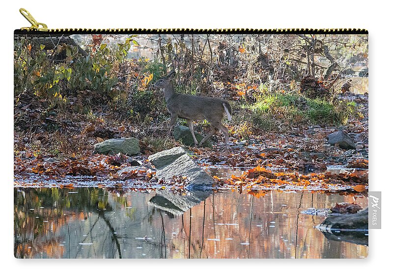 Wildlife Zip Pouch featuring the photograph Morning in the Woods by Paul Ross