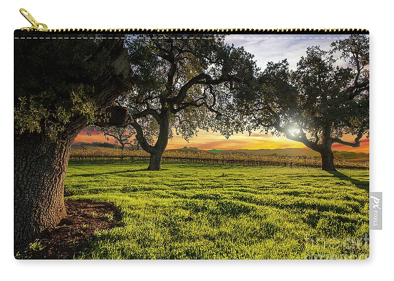 Napa Zip Pouch featuring the photograph Morning in Wine Country by Jon Neidert