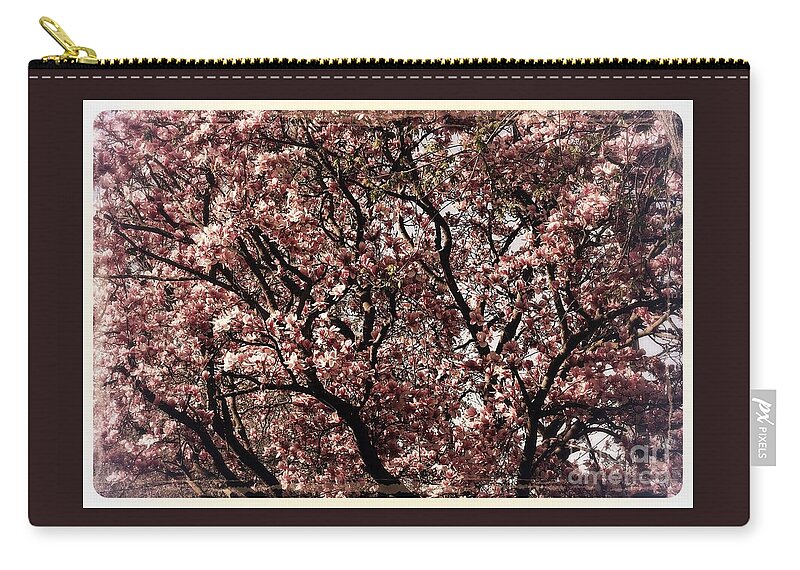 Midwest Zip Pouch featuring the photograph Morning Light Magnolia - Border by Frank J Casella