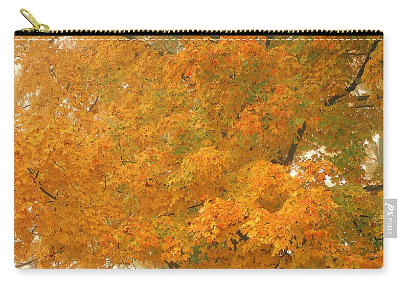 Cambridge Zip Pouch featuring the photograph Morning Mail Cambridge Vermont by George Robinson