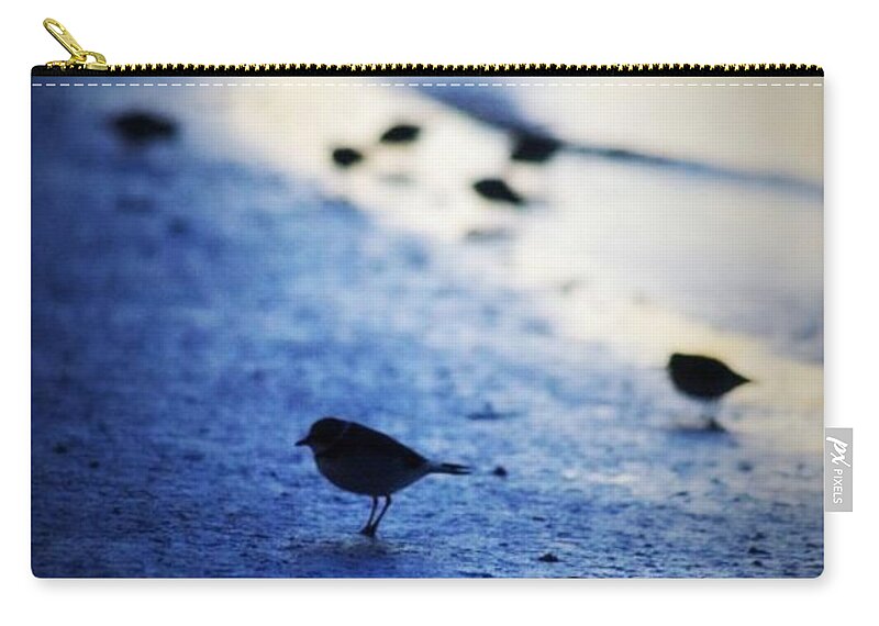 Bird Zip Pouch featuring the photograph Morning by Stoney Lawrentz
