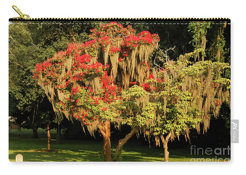 Savannah Zip Pouch featuring the photograph Moss-Covered Crepe Myrtle by Bob Phillips
