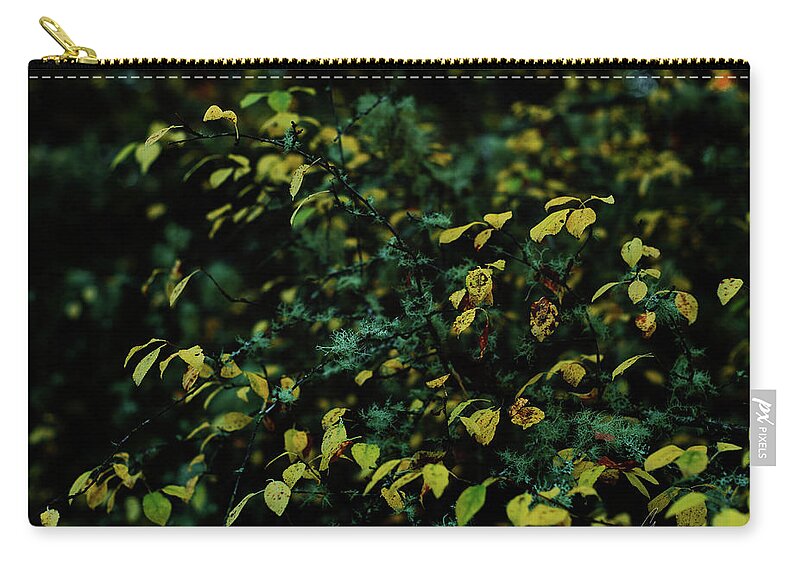 Landscape Zip Pouch featuring the photograph Moss in Colors by Gene Garnace