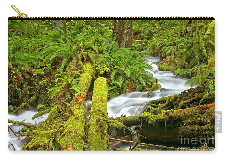 Rainforest Zip Pouch featuring the photograph Mossy Forest Logs by Adam Jewell
