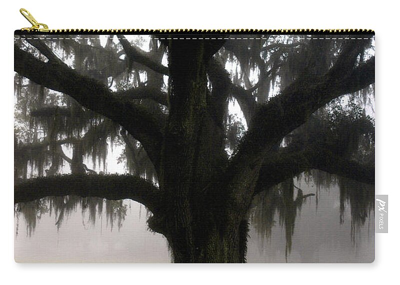 Lowcountry Zip Pouch featuring the photograph Mossy Oak by Scott Hansen