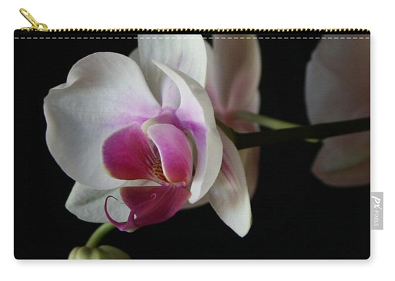 Moth Zip Pouch featuring the photograph Moth Orchid 1 by Marna Edwards Flavell