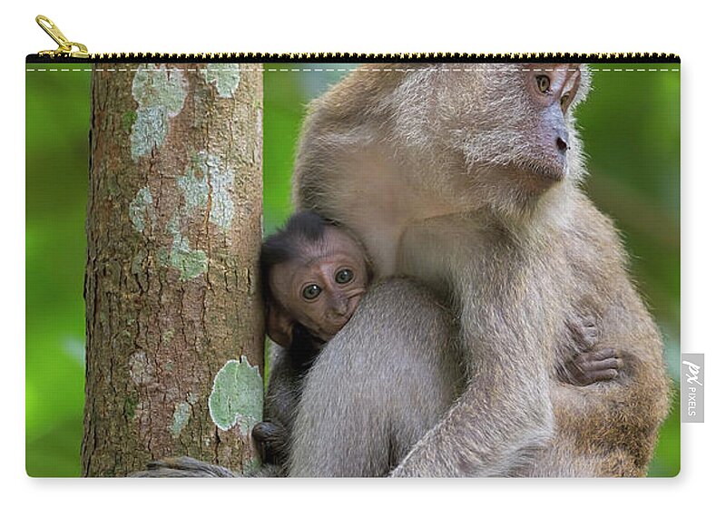 Monkey Zip Pouch featuring the photograph Mother and Baby Monkey by David Gn