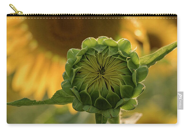 Sunflower Carry-all Pouch featuring the photograph Mother and Child by Holly Ross