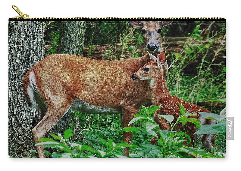 Deer Zip Pouch featuring the photograph Mother and Child by Mark Fuller
