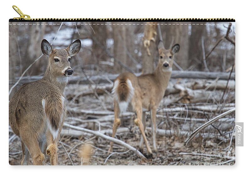 White Tail Fawn Zip Pouch featuring the photograph Sheltering Mom by Jim Garrison