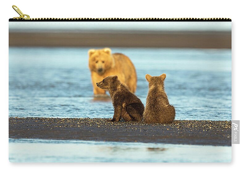 Grizzly Bear Zip Pouch featuring the photograph Mother Gazing at her Cubs by Mark Harrington