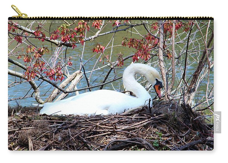Swan Zip Pouch featuring the photograph Mother Swan by Cynthia Guinn