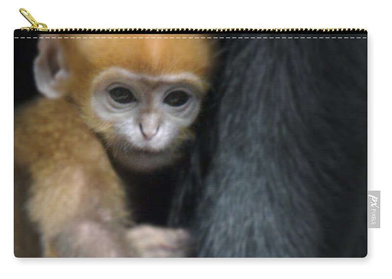 Baby Zip Pouch featuring the photograph Motherhood - Primate by DArcy Evans