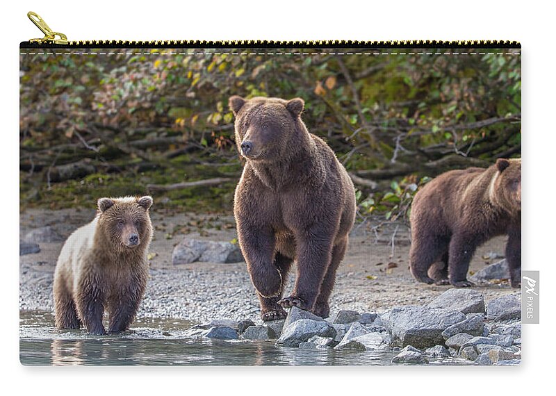 Porcupine Zip Pouch featuring the photograph Mother's Watch by Kevin Dietrich