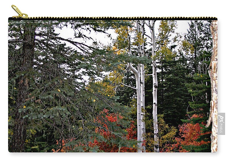 Trees Zip Pouch featuring the photograph Mountain Autumn by Matalyn Gardner