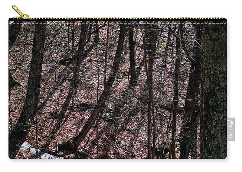 Creek Zip Pouch featuring the photograph Mountain Creek by George Taylor