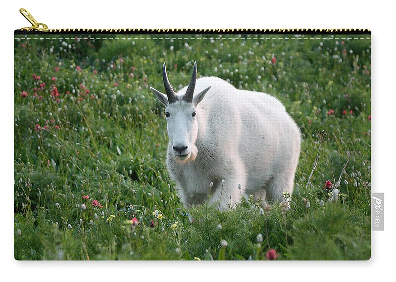 Mountain Goat Carry-all Pouch featuring the photograph Mountain Goat and Wildflowers by Brett Pelletier