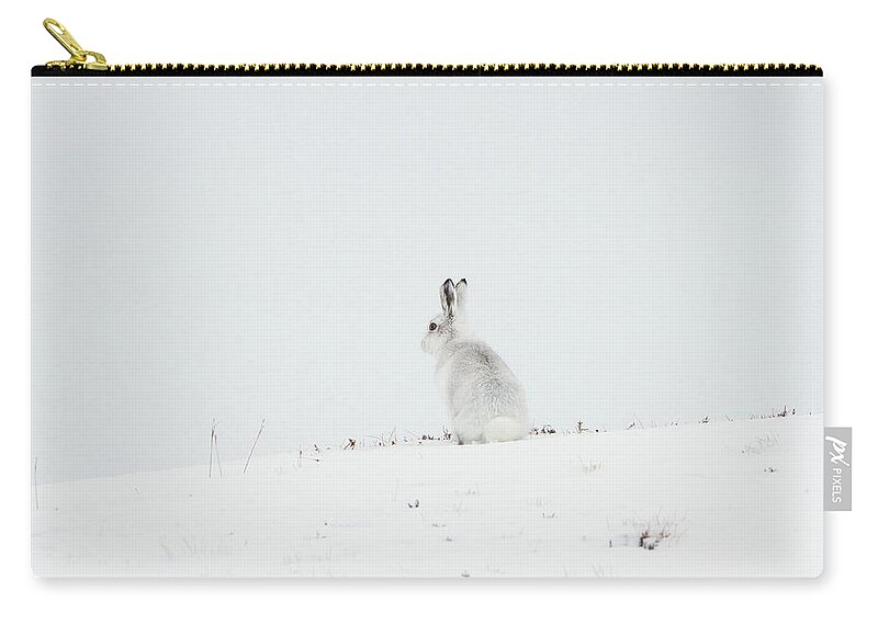 Mountain Zip Pouch featuring the photograph Mountain Hare Sat In Snow by Pete Walkden