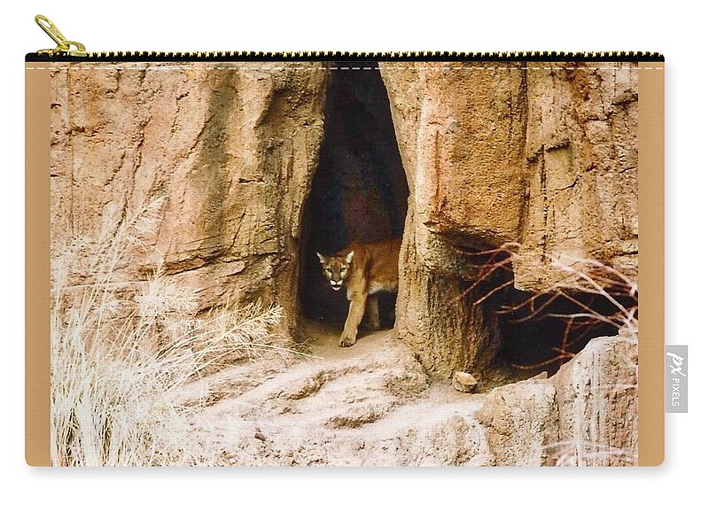 Arizona Carry-all Pouch featuring the photograph Mountain Lion in the Desert by Judy Kennedy