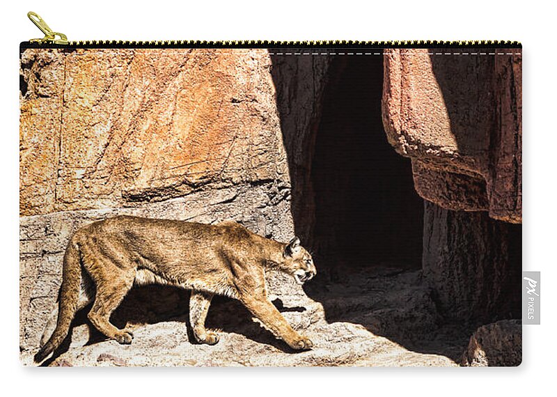 Animal Zip Pouch featuring the photograph Mountain Lion by Lawrence Burry
