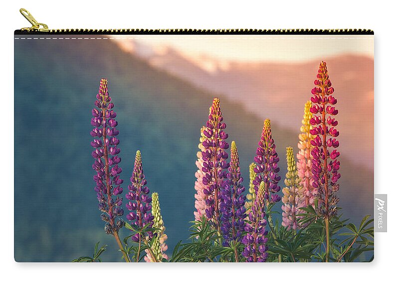 Lupine Zip Pouch featuring the photograph Mountain Lupine Bathed in Light by Joy McAdams